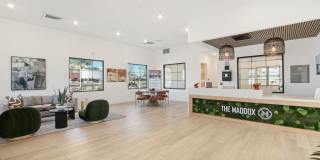 The Maddox Gallery 35