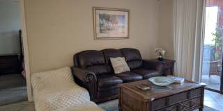 2731 Via Capri Unit 917 Gallery 5