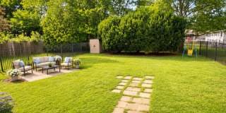 51 White Terrace Gallery 17