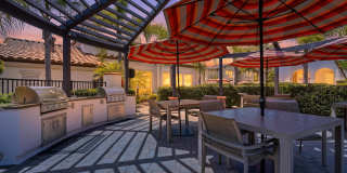 Avino Gallery 12