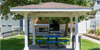 Fielder's Creek Gallery 4