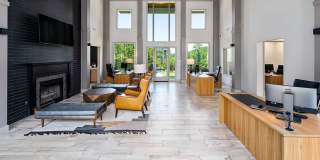 The Falls and Woods of Hoover Gallery 12