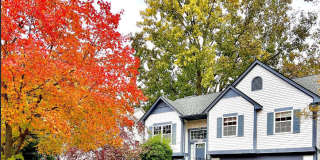 915 Hunt Club Boulevard Gallery 1