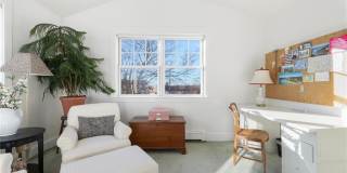 9 White Terrace Gallery 37