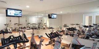 Valley and Bloom Gallery 7