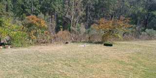 20303 Autumn Fern Ave Gallery 12