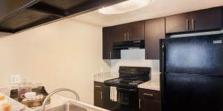 Heron Lake Gallery 23