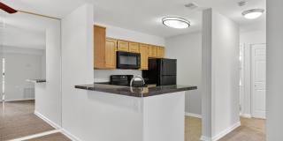 The Cloisters Gallery 39