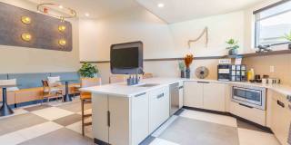 Woodland Meadows Gallery 10