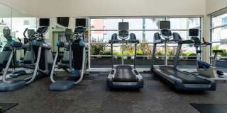 SOMA at 788 Gallery 25