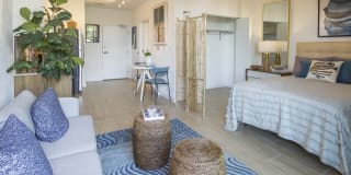 Blue Lagoon 7 Gallery 28