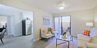 Rise Skyview Gallery 35