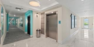 The Vivien Gallery 31