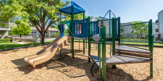 Biltmore Biltmore Gallery 60