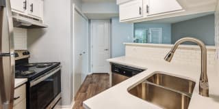 Timber Hollow Gallery 2