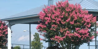 233 COLONIAL Avenue Gallery 40