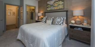 Mariner Grove Gallery 28