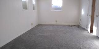 Adorable, Funky, Solar 3 Bedroom 2 Bath Home in Highlands/Sloans Lake! Gallery 25