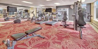 Park Plaza II Apartment Homes Gallery 10