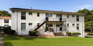 Hidden Colony Gallery 16