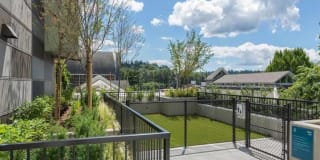 Edition Apartments Gallery 8