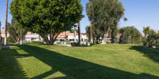 156 Falls Court Gallery 20