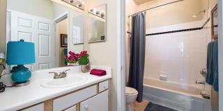 The Falls and Woods of Hoover Gallery 59