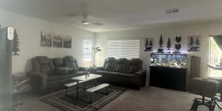 1378 Rockcress Lane Gallery 4