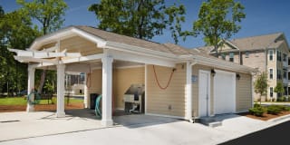 Element Carolina Bay Element Carolina Bay Gallery 37