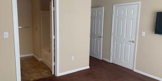 Beautiful Condo! Gallery 27