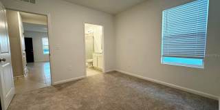 339 PUMA LOOP Gallery 29