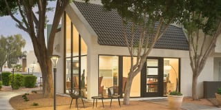 Orchard on Gilbert Gallery 9