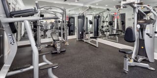 Cavalier @ 100 Gallery 4