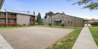 East Wind Gallery 22