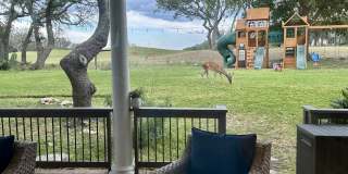29607 FAIRWAY BLUFF DR Gallery 30