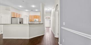 8871 CANOPY OAKS Drive Gallery 14