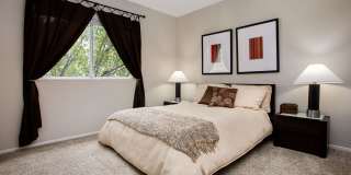 The Barrington Club Gallery 13