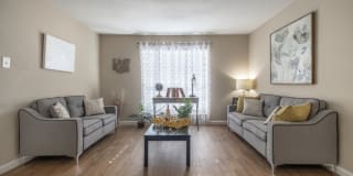 Woods on Lamonte Gallery 1