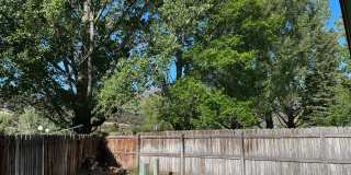 106 Bobcat Court Gallery 28