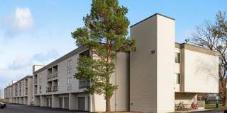 Large 1 & 2 Bedrooms available, PET FRIENDLY! Gallery 140