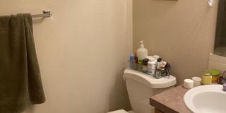 Beautiful 3 Bed, 3 1/2 Bath Townhome in Northwest Fort Collins! Gallery 10