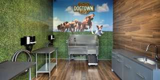 Highwater Gallery 17