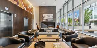ReNew Oak Park Gallery 52