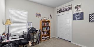 5418 Cicada Gallery 15