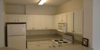 4616 Palmbrooke Circle Gallery 10