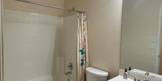 Beautiful Home in Stonegate!! Gallery 10