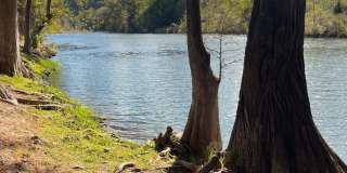 NEW ON MARKET (4 ACRE HOA GUADALUPE RIVER PARK COUPLE BLOCKS AWAY) Gallery 16