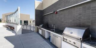 Rincon Green Gallery 12