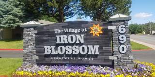 Village at Iron Blossom Gallery 1