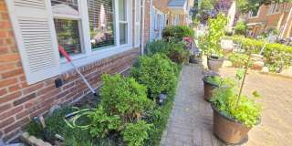 9 ELNA CT Gallery 7